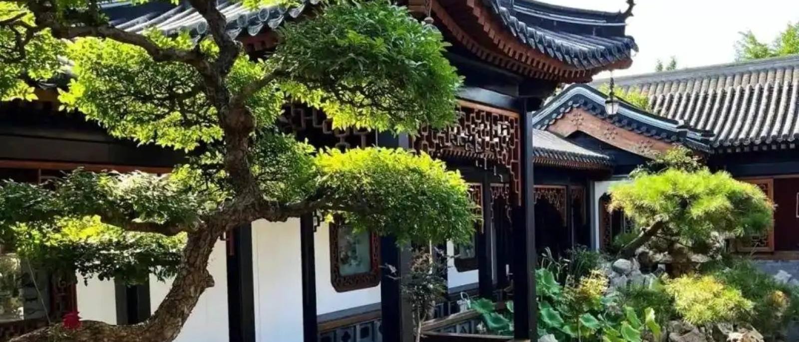 必一运动园林绿化轮播：绿化工程施工现场